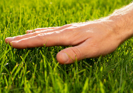 Touch Grass